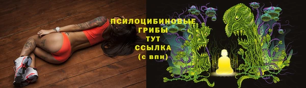 spice Вяземский