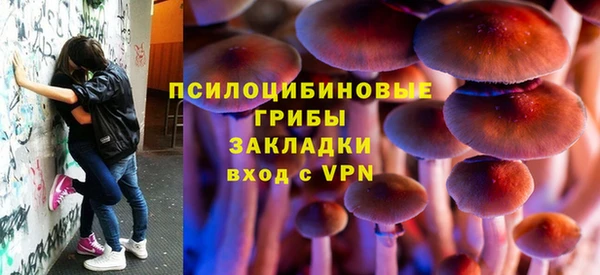прущая мука Горняк