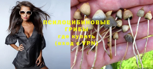 прущая мука Горнозаводск