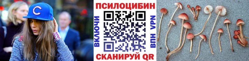 Купить закладки  Камызяк  Псилоцибиновые грибы Magic Shrooms 