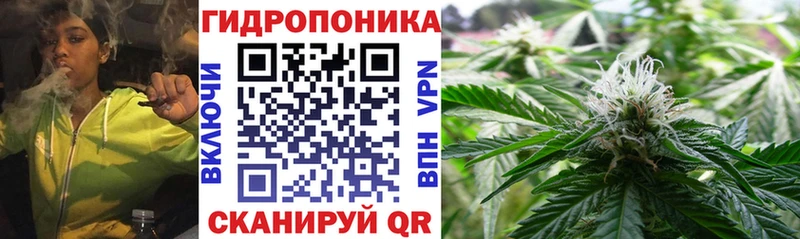 Конопля индика  Купить где  Камызяк 